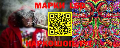 ГАЛЛЮЦИНОГЕННЫЕ ГРИБЫ Шебекино