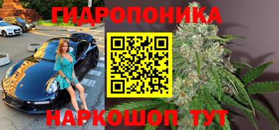 ГАЛЛЮЦИНОГЕННЫЕ ГРИБЫ Шебекино